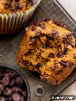A delicious pumpkin chocolate chip muffin with a bite missing, showcasing its moist texture.