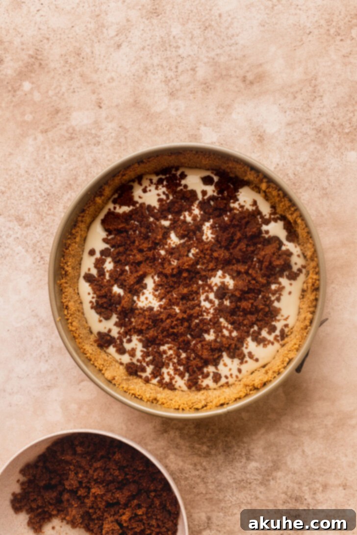 Cinnamon Swirl Cheesecake 5 Cinnamon filling mixture crumbled and spread evenly in the cheesecake pan.