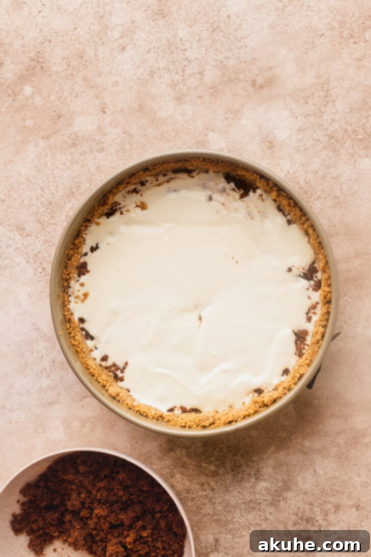 Cinnamon Swirl Cheesecake 6 Layers of cheesecake batter and cinnamon filling visible in the springform pan.