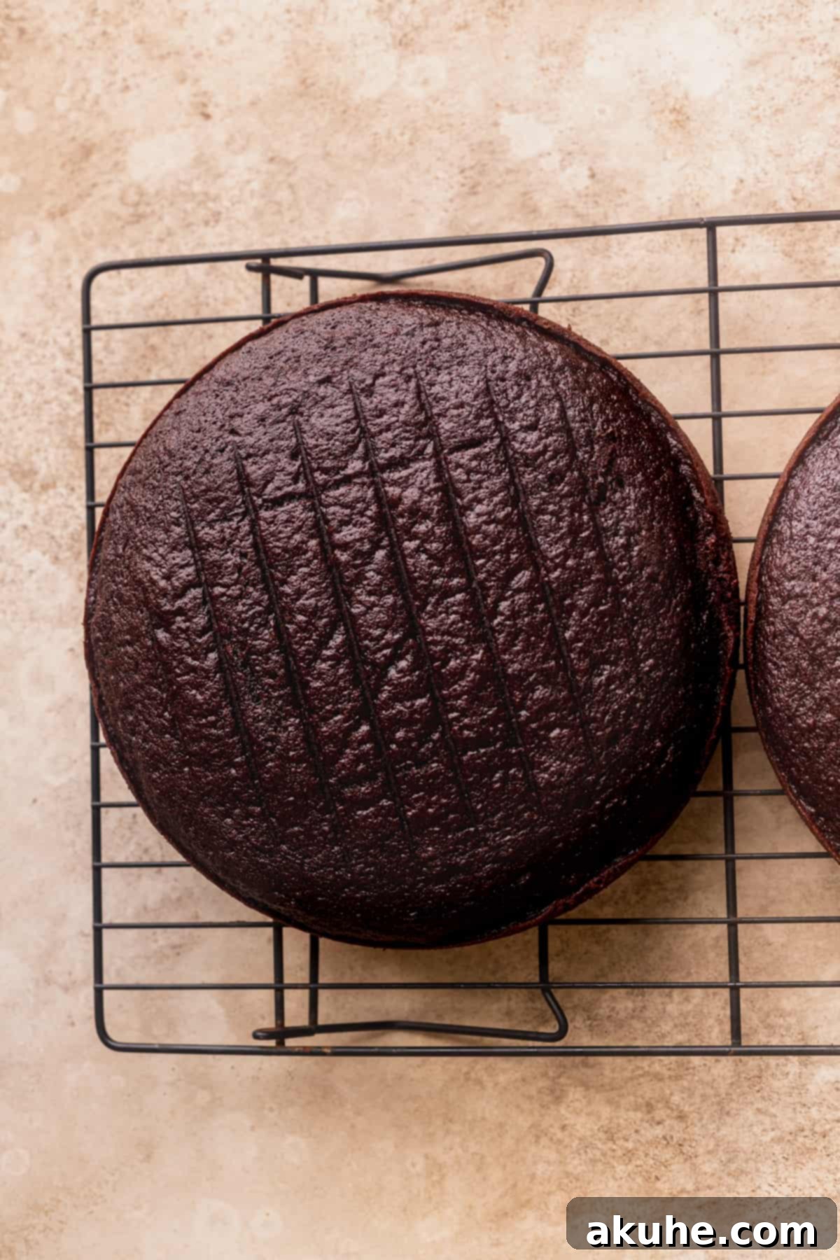 A freshly baked chocolate cake layer cooling gracefully on a wire rack.