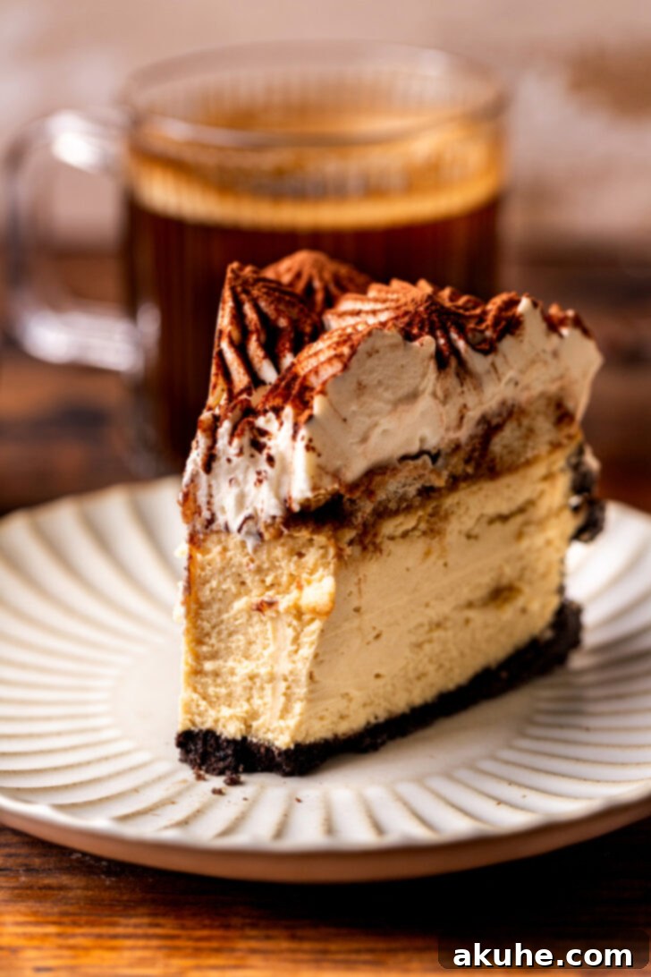 Mascarpone Mocha Cheesecake 11 A slice of tiramisu cheesecake with a bite taken out, showing the creamy texture and distinct layers.