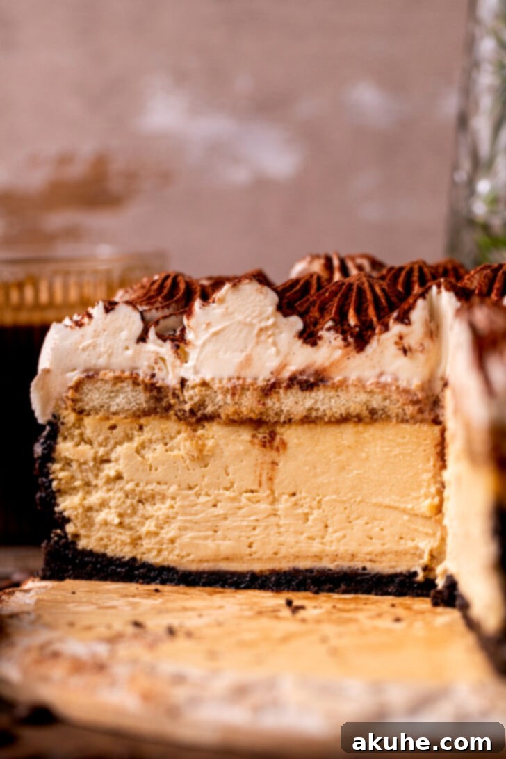 Mascarpone Mocha Cheesecake 12 Close-up side view of the tiramisu cheesecake, highlighting its beautiful layered structure.
