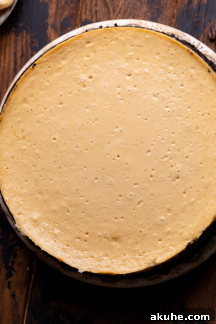 Mascarpone Mocha Cheesecake 7 A perfectly baked and chilled cheesecake, removed from the springform pan, on a serving platter.