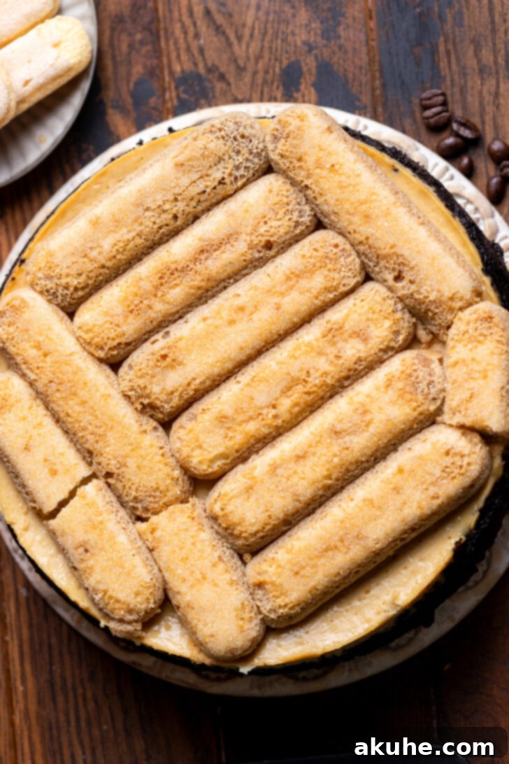 Mascarpone Mocha Cheesecake 9 Espresso-soaked ladyfingers arranged neatly on top of the baked cheesecake.