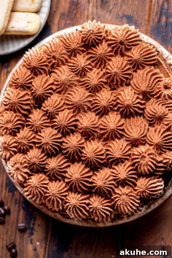 Mascarpone Mocha Cheesecake 10 Top view of the decorated tiramisu cheesecake with piped mascarpone cream and cocoa powder dusting.