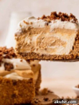 Marbled No Bake Pumpkin Cheesecake 17 Swirled no bake pumpkin cheesecake taking a slice out.