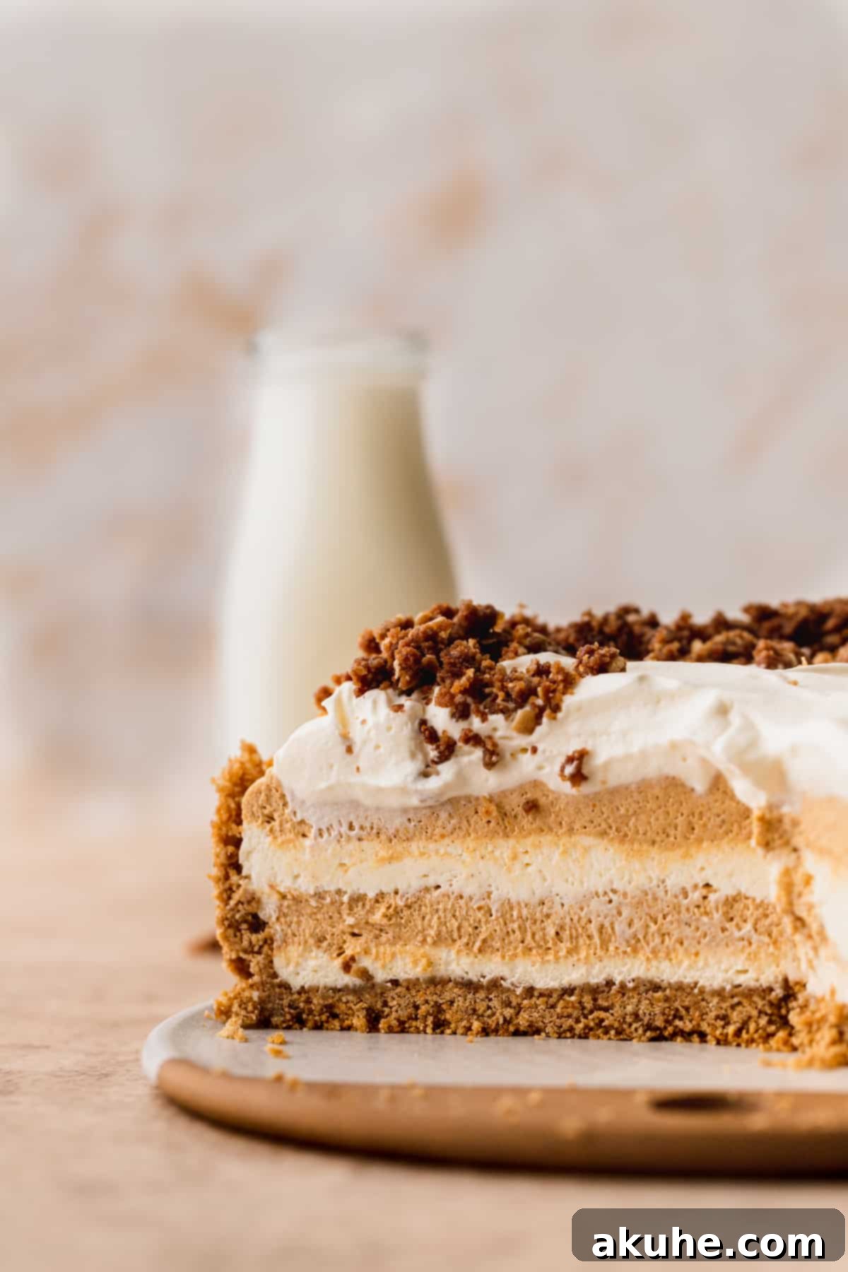 Marbled No Bake Pumpkin Cheesecake 4 Side view of cheesecake.