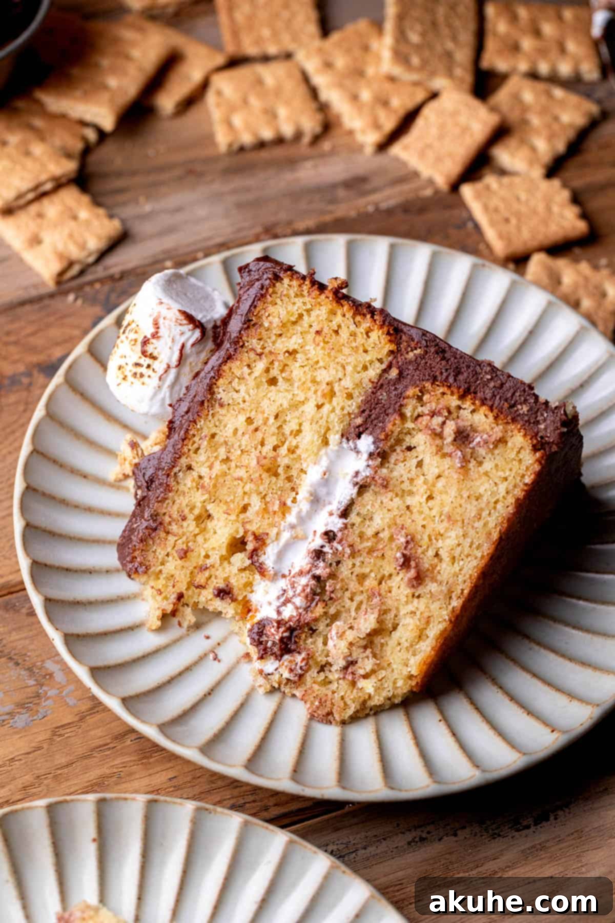 Ultimate Smores Cake 11 A perfectly sliced piece of s'mores cake on a plate.