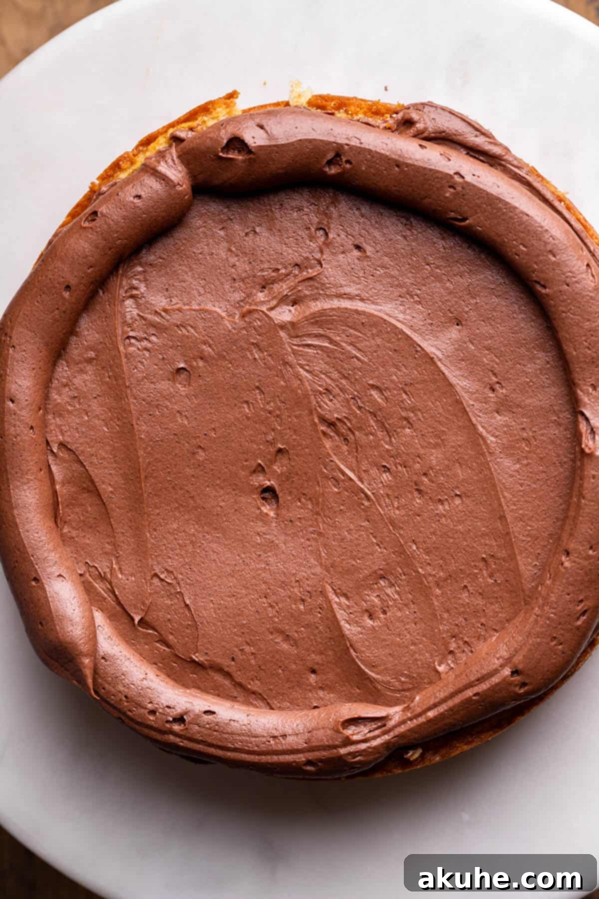 Ultimate Smores Cake 9 First layer of cake with chocolate frosting applied.