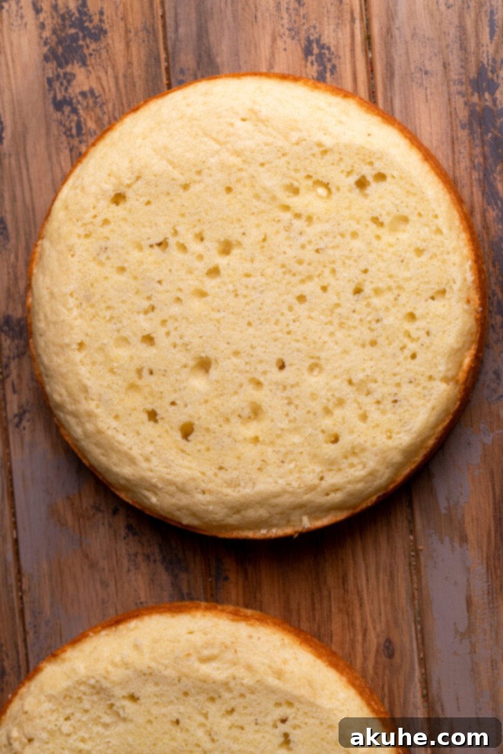 Blueberry Bliss Cake 6 Freshly baked cake layers resting on a cooling rack, with a serrated knife ready for leveling.