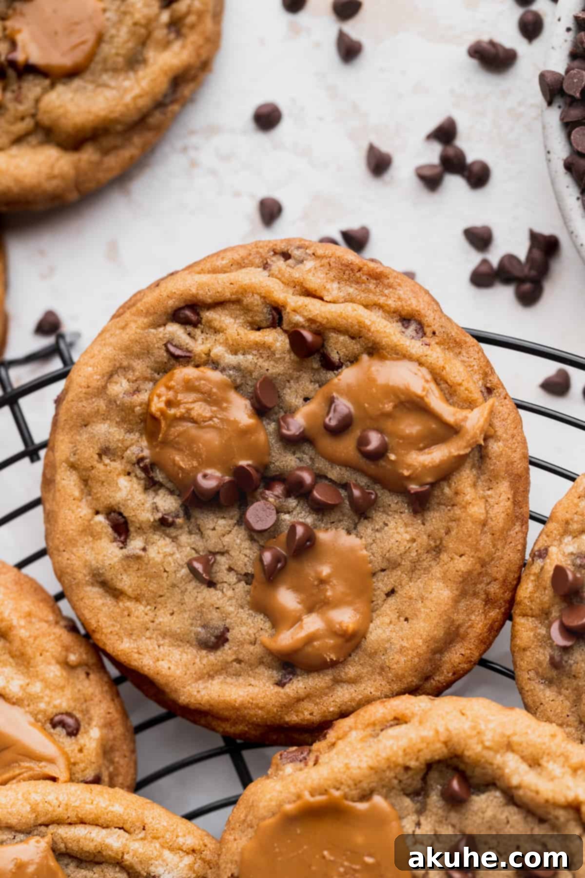 A close-up view of a baked Biscoff butter cookie, showcasing its textured surface, melted chocolate chips, and gooey Biscoff center.