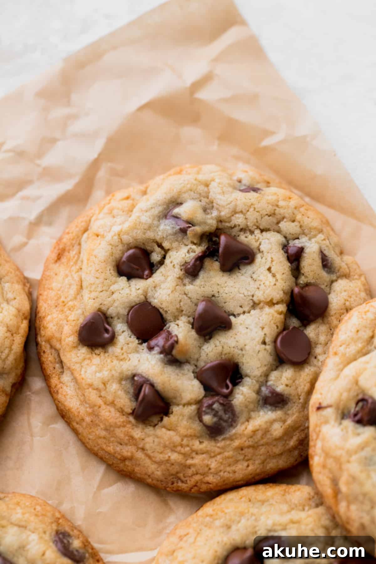 Just Enough Chocolate Chip Bliss 8 Close up shot of a warm, golden brown chocolate chip cookie, highlighting its texture and melted chocolate chips.