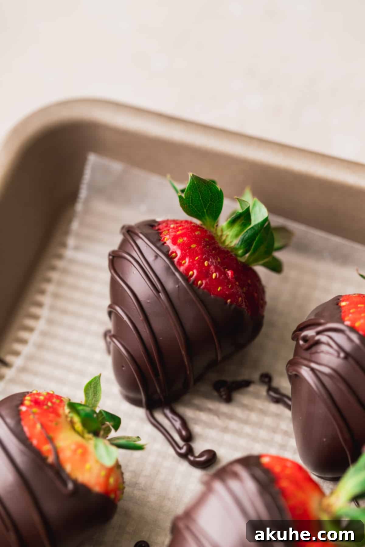 Freshly dipped chocolate covered strawberries cooling on a parchment-lined cookie sheet.