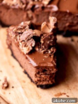 Decadent Nutella Cheesecake 10 A bite missing from a slice of Nutella cheesecake.