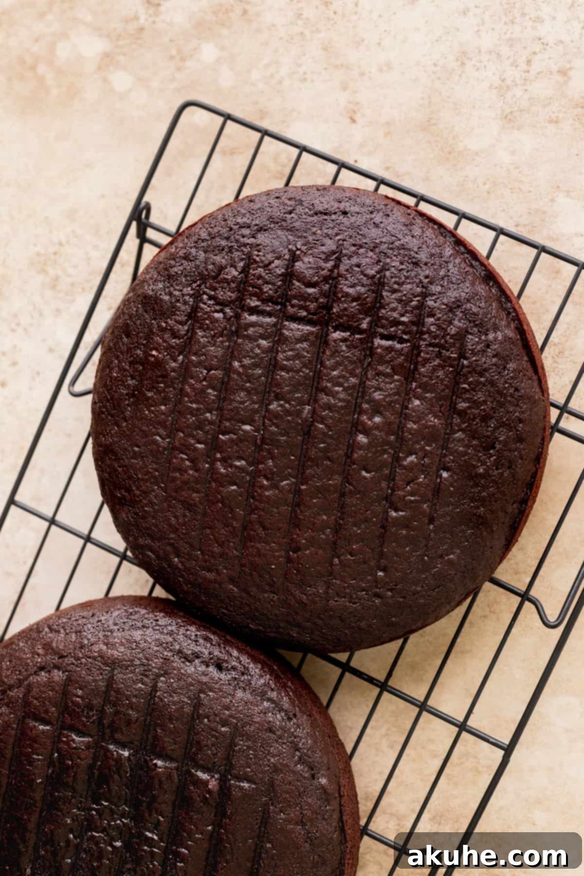 Andes Mint Chocolate Cake 6 Baked cake layers on a wire rack.