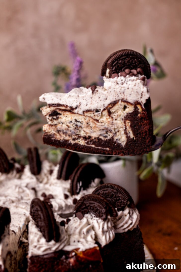 Oreo Dream Cheesecake 2 A delicious slice of Oreo cake cheesecake being taken out.