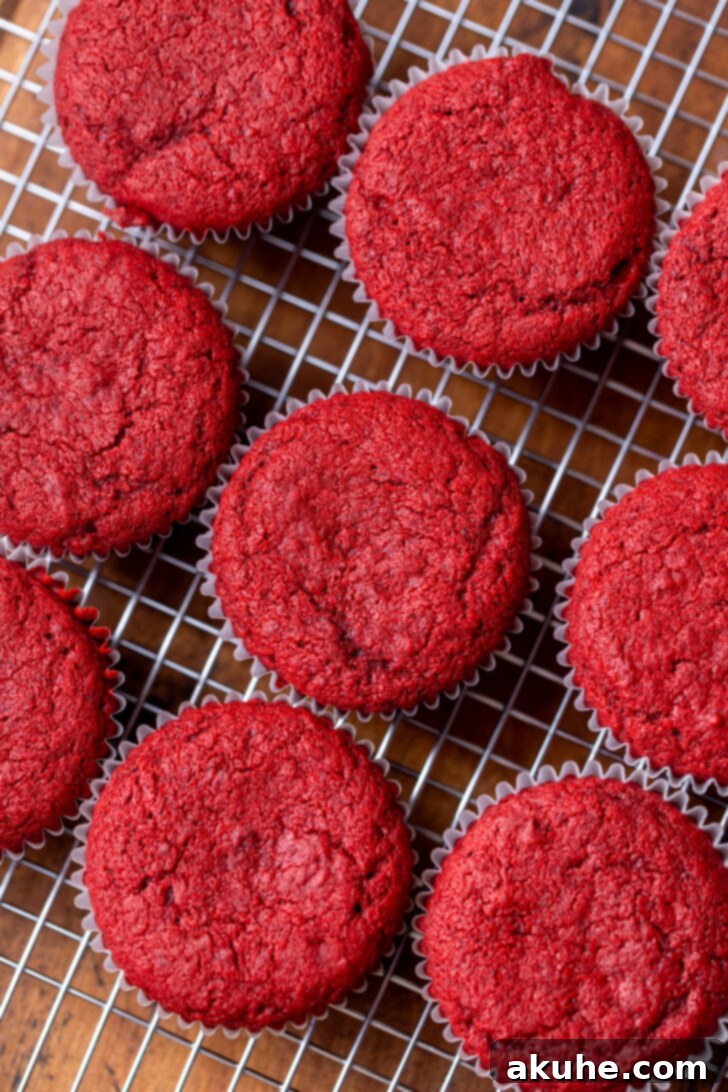 Red Velvet Delight 7 Baked red velvet cupcakes cooling on a wire rack.