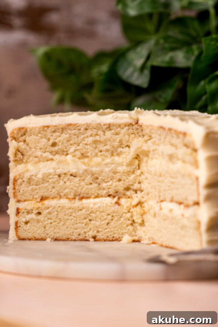 The Ultimate Vanilla Cake Experience 3 The inside of the vanilla cake, split open to reveal its soft and airy texture.