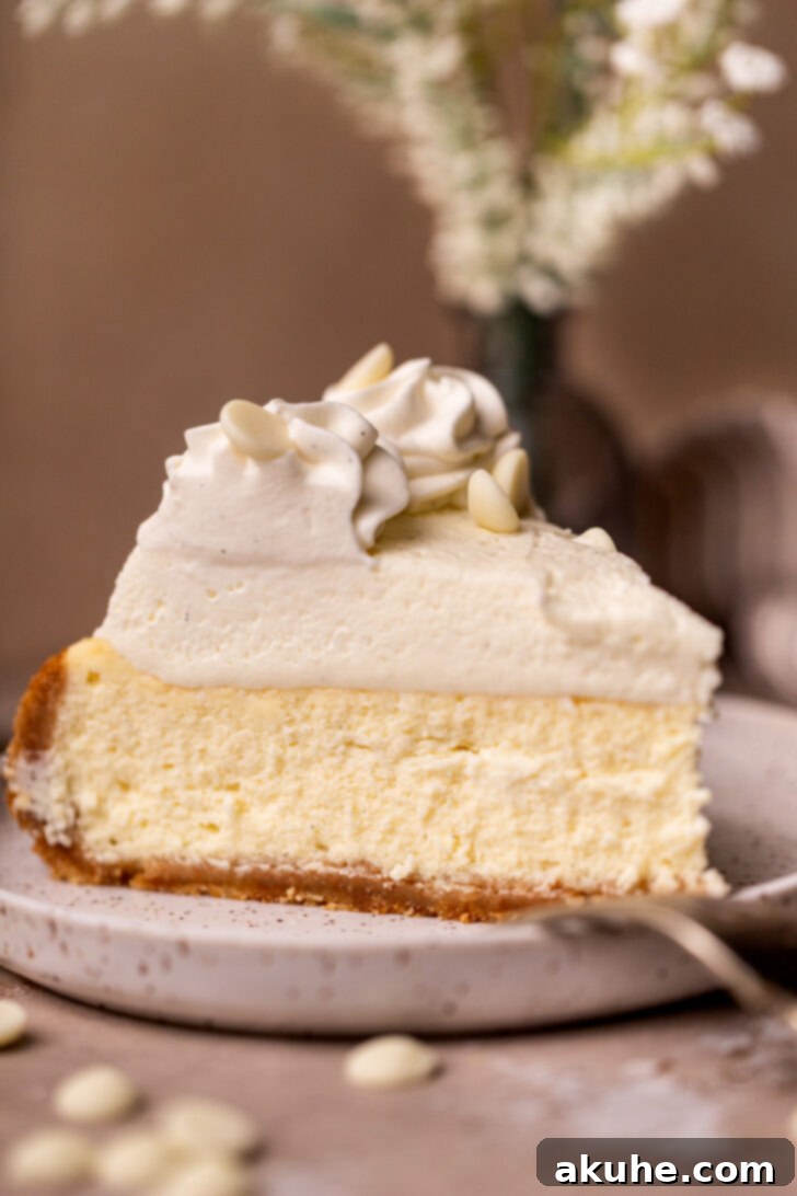 Vanilla Bean Cheesecake Delight 2 A delectable slice of Vanilla Bean Cheesecake on a plate.
