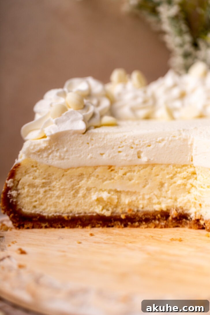 Vanilla Bean Cheesecake Delight 3 Side view of an opened Vanilla Bean Cheesecake, showcasing the layers.