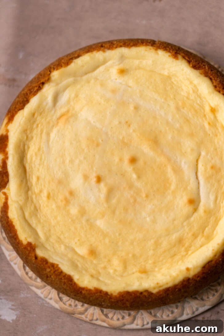 Vanilla Bean Cheesecake Delight 7 Baked Vanilla Bean Cheesecake, ready for decoration.