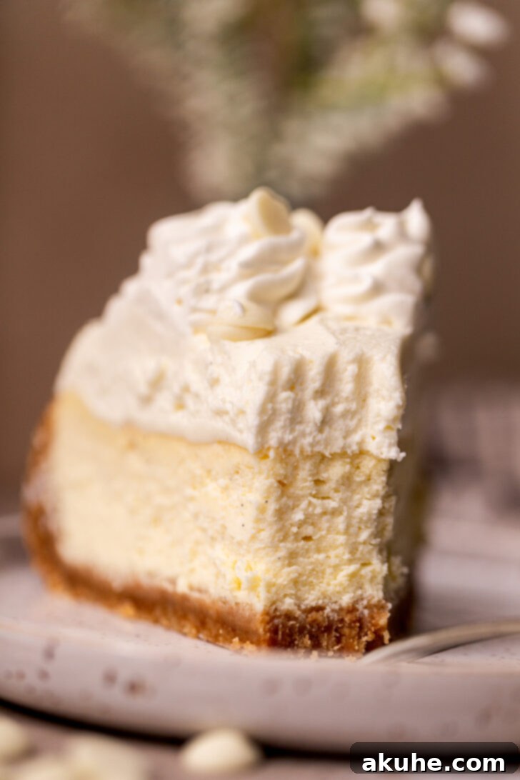 Vanilla Bean Cheesecake Delight 9 A bite missing from a slice of Vanilla Bean Cheesecake, showcasing its creamy texture.