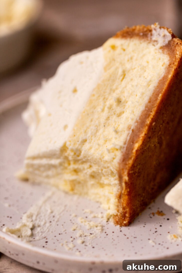 Vanilla Bean Cheesecake Delight 10 A slice of Vanilla Bean Cheesecake on its side, showcasing its creamy layers.